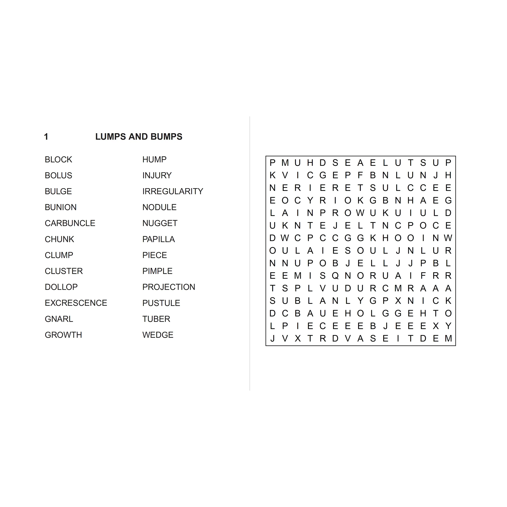 Extra Large Print Wordsearch - Image 3