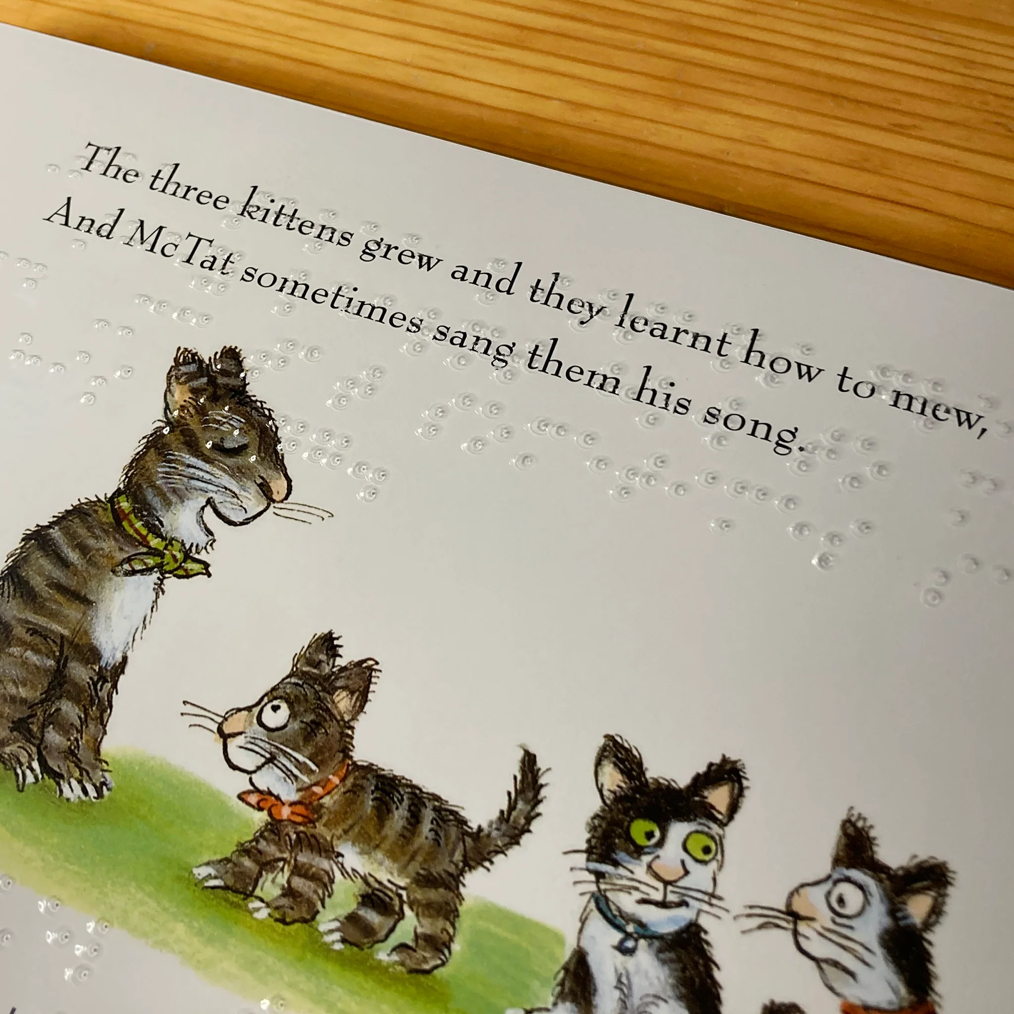 Tabby McTat (contracted UEB) - Image 2