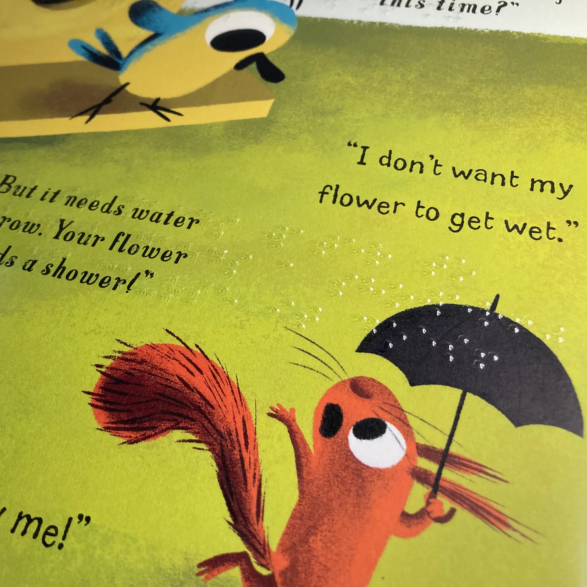 The Leaf Thief: That's MY Flower (contracted UEB) - Image 2